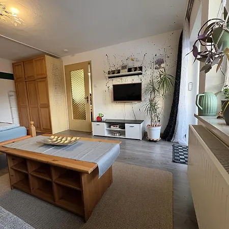 Apartament In 2 Erw Und 2